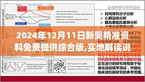 2025年1月6日 第28页