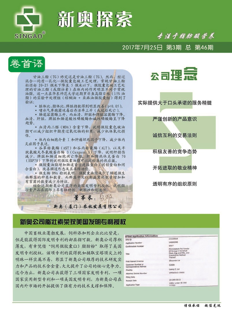 2004新奥精准资料免费提供,2004新奥精准资料免费提供，回顾与前瞻