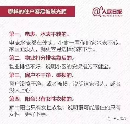 新奥门免费资料大全历史记录查询,新澳门免费资料大全历史记录查询，探索与解读