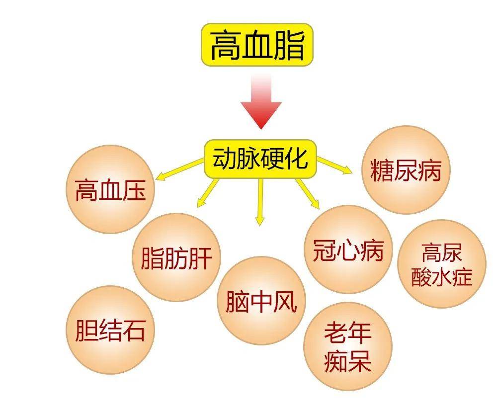 新澳门一码一肖一特一中2024高考,新澳门一码一肖一特一中与高考之路，探寻未来的教育趋势与挑战