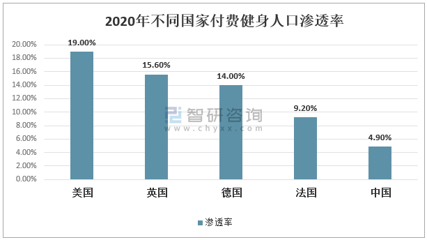 2025年香港资料免费大全, 2025年香港资料免费大全概览